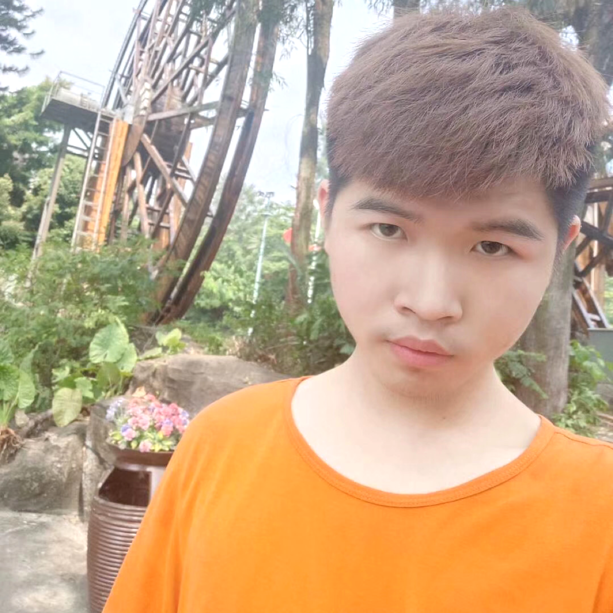 棒棒糖打阳光的照片