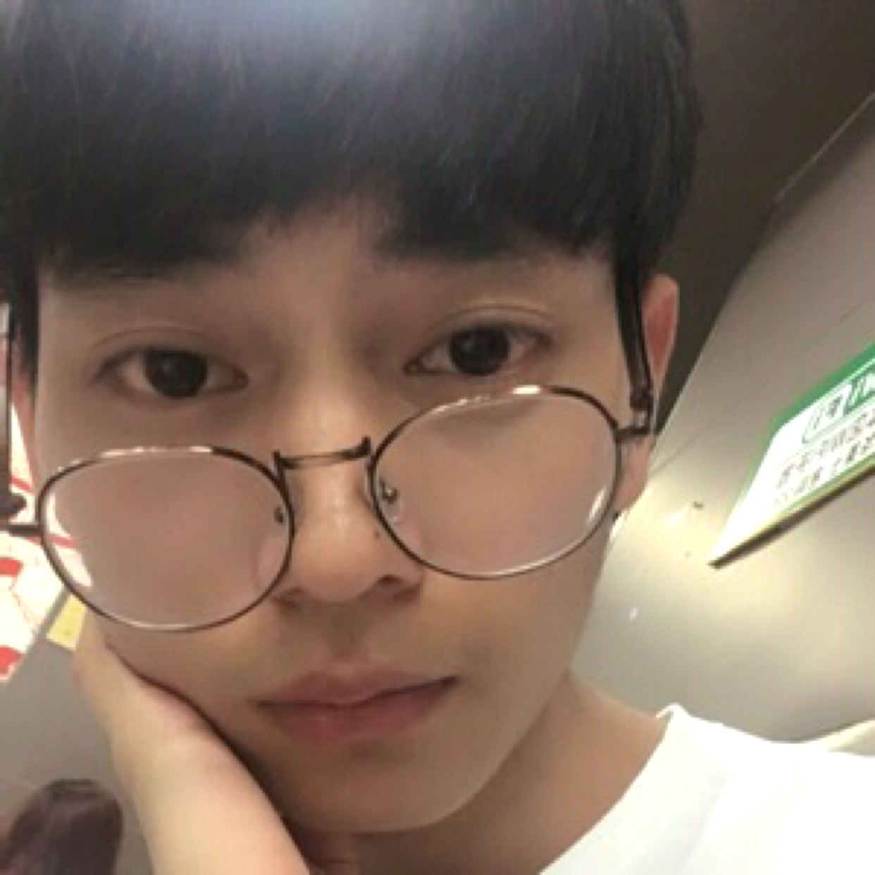 白猫深拥欢呼的照片