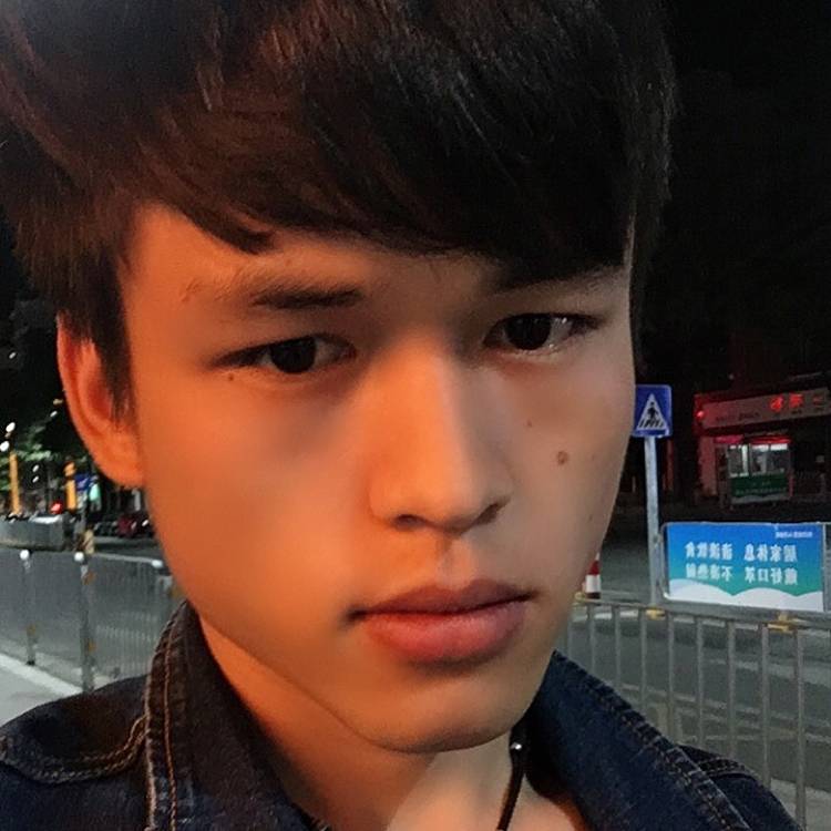 树叶回眸苗条的照片