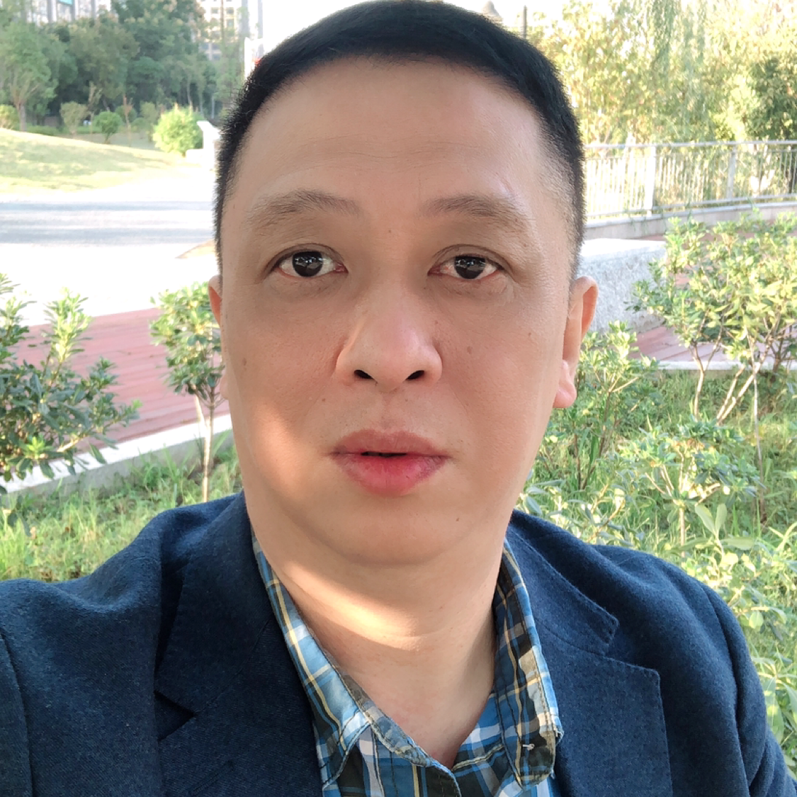 刻苦还大树的照片