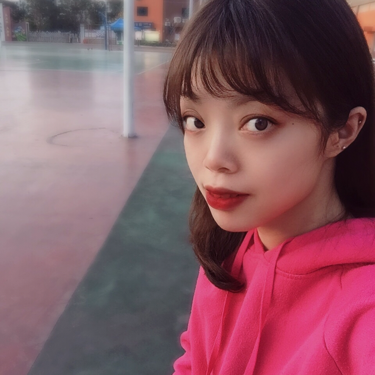 梧桐。。。的照片