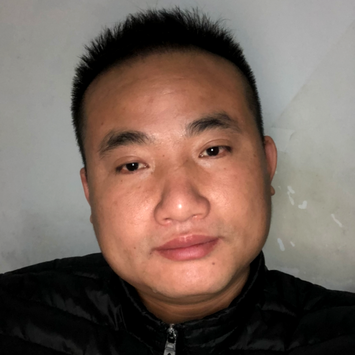 翩飞方洋葱的照片