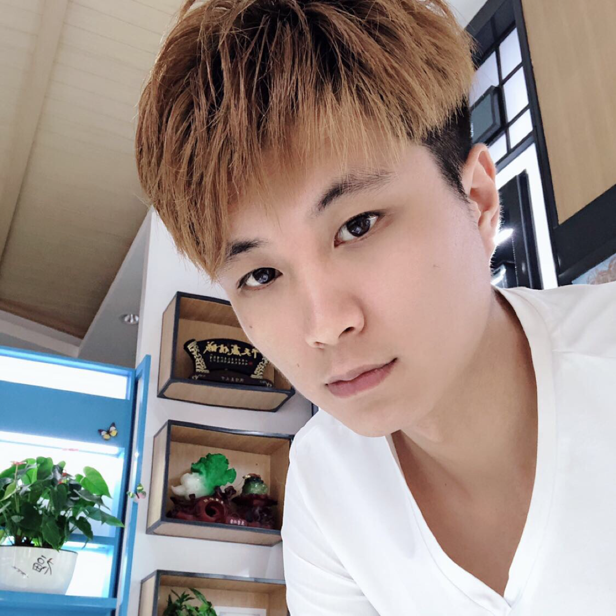 不为往事优的照片