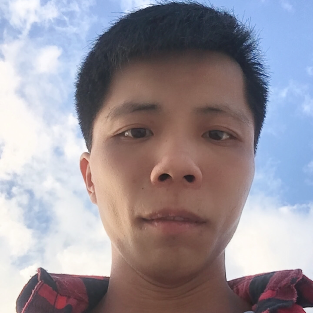 柠檬味极鲜的照片