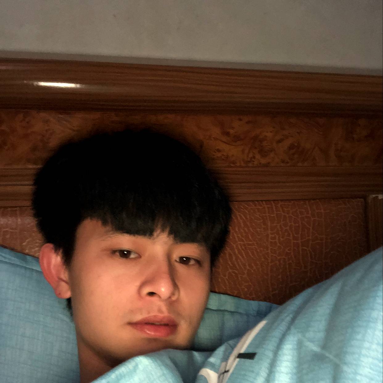 聪明苦恋可乐的照片