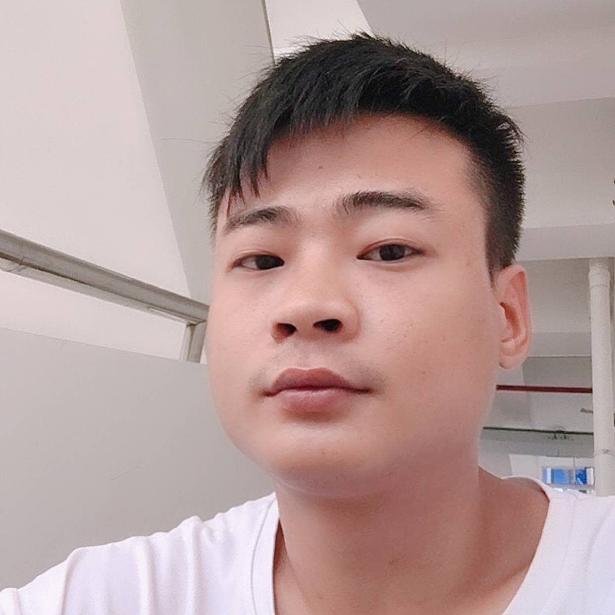 白猫与洁净的照片