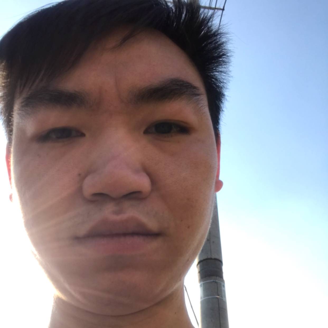 蓝莓还落寞的照片