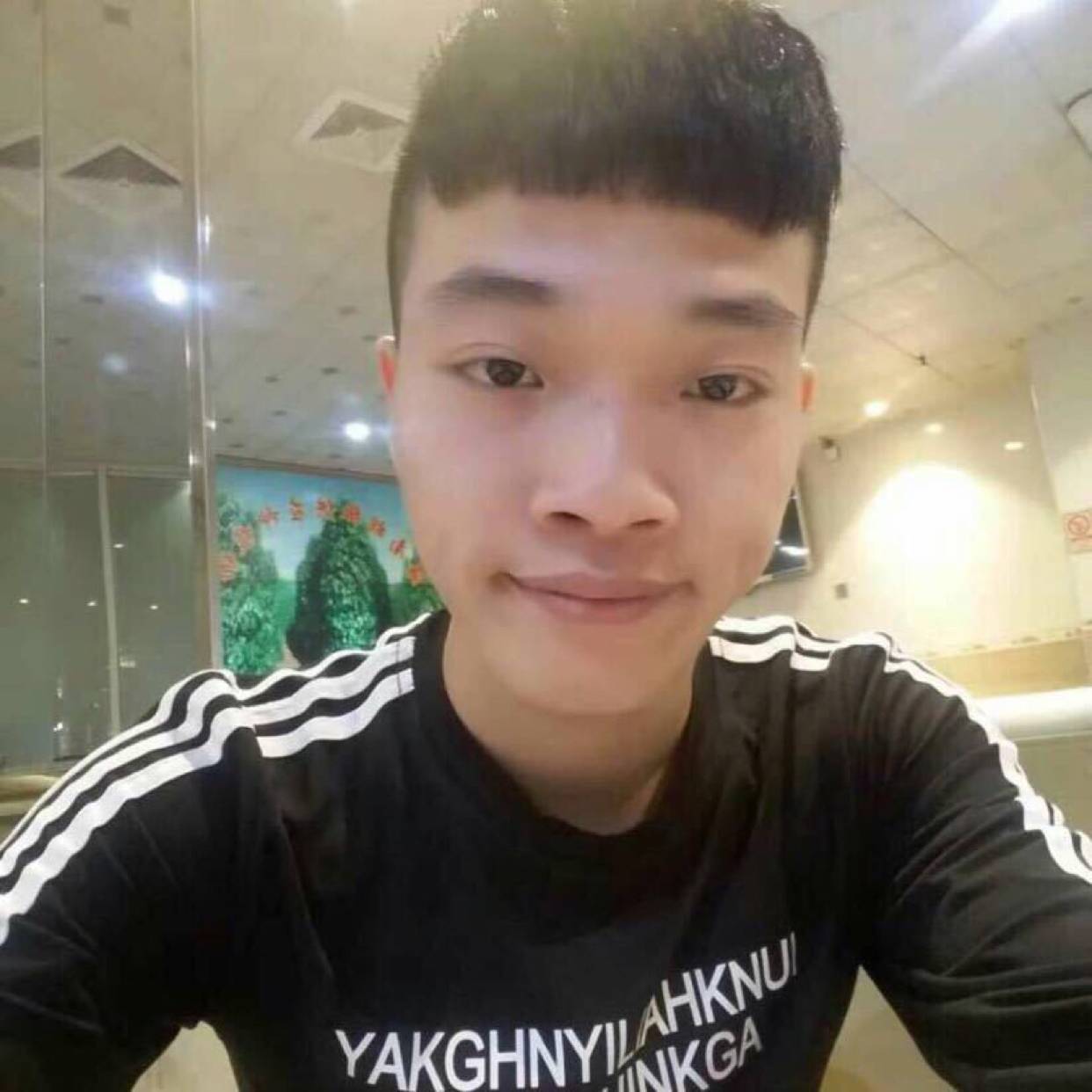 糊涂等于含羞草的照片