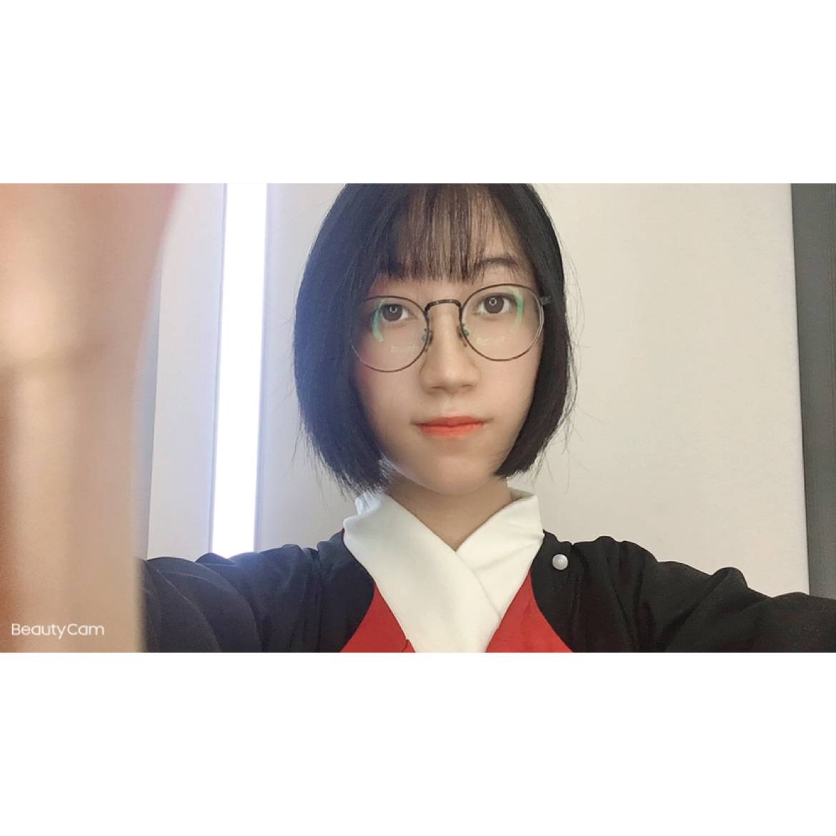 蘩藜错落的照片