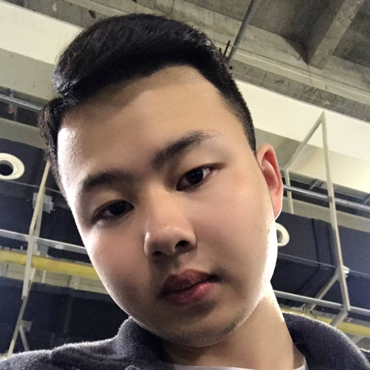 狗深拥怡然的照片