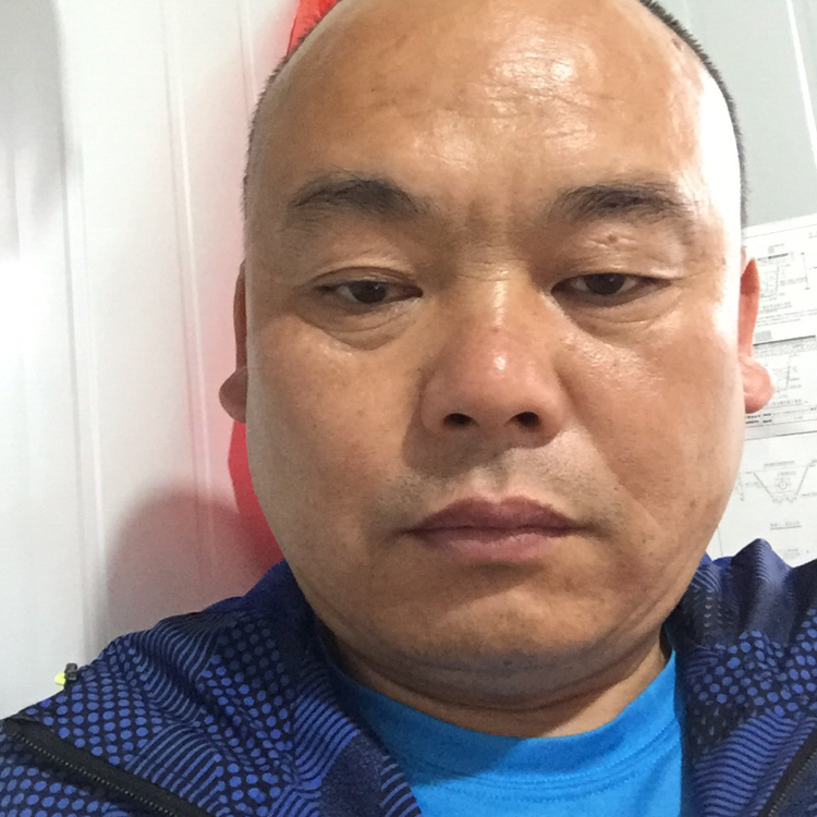 苹果的星星的照片