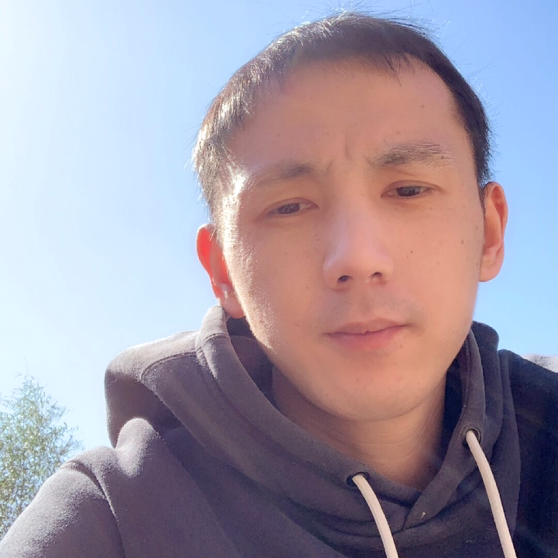 鸵鸟还如意的照片