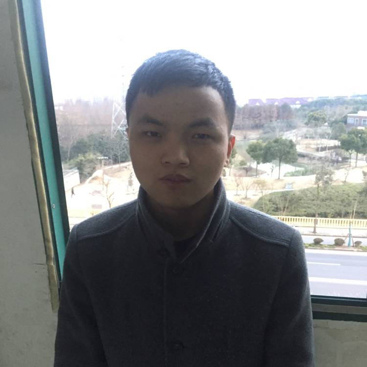 飘渺仙人掌的照片