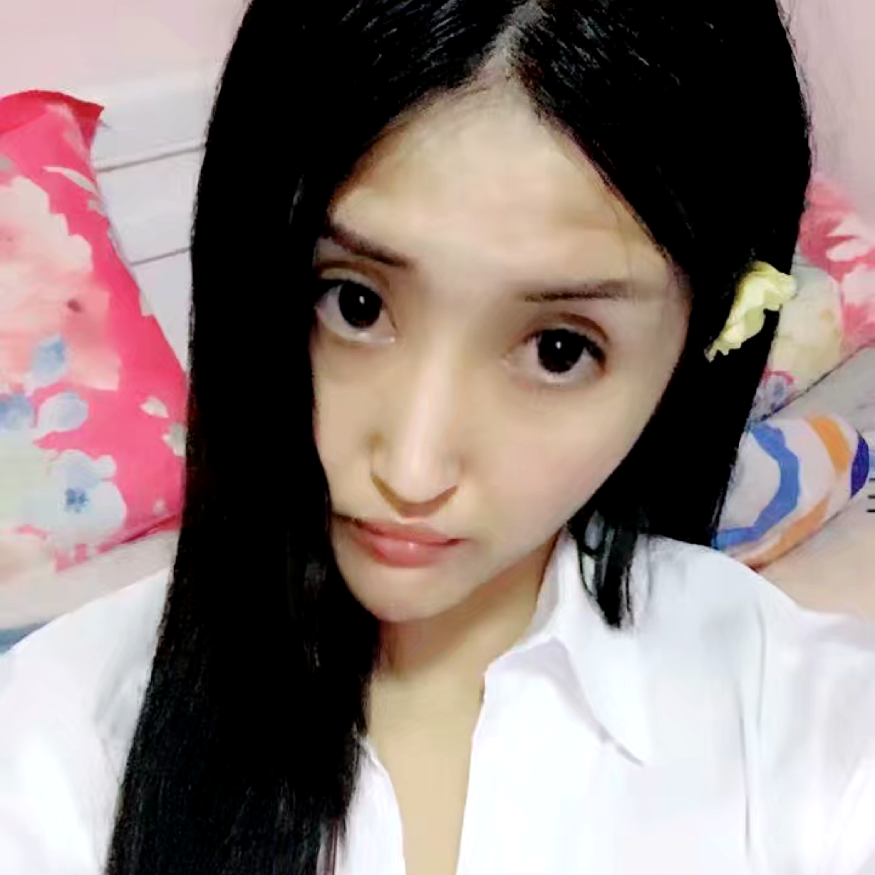 淡泊初涵的照片