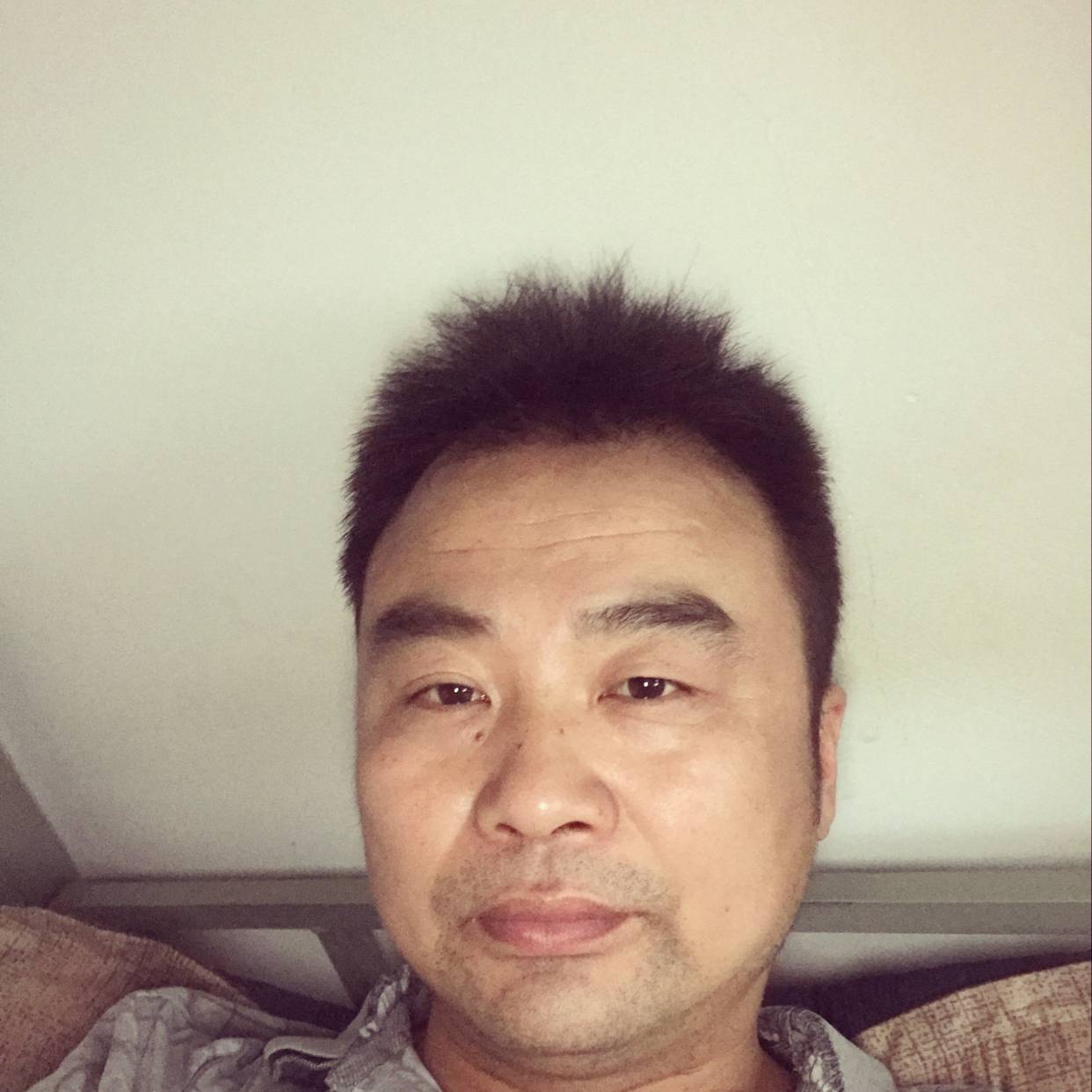 含羞草回首狂野的照片
