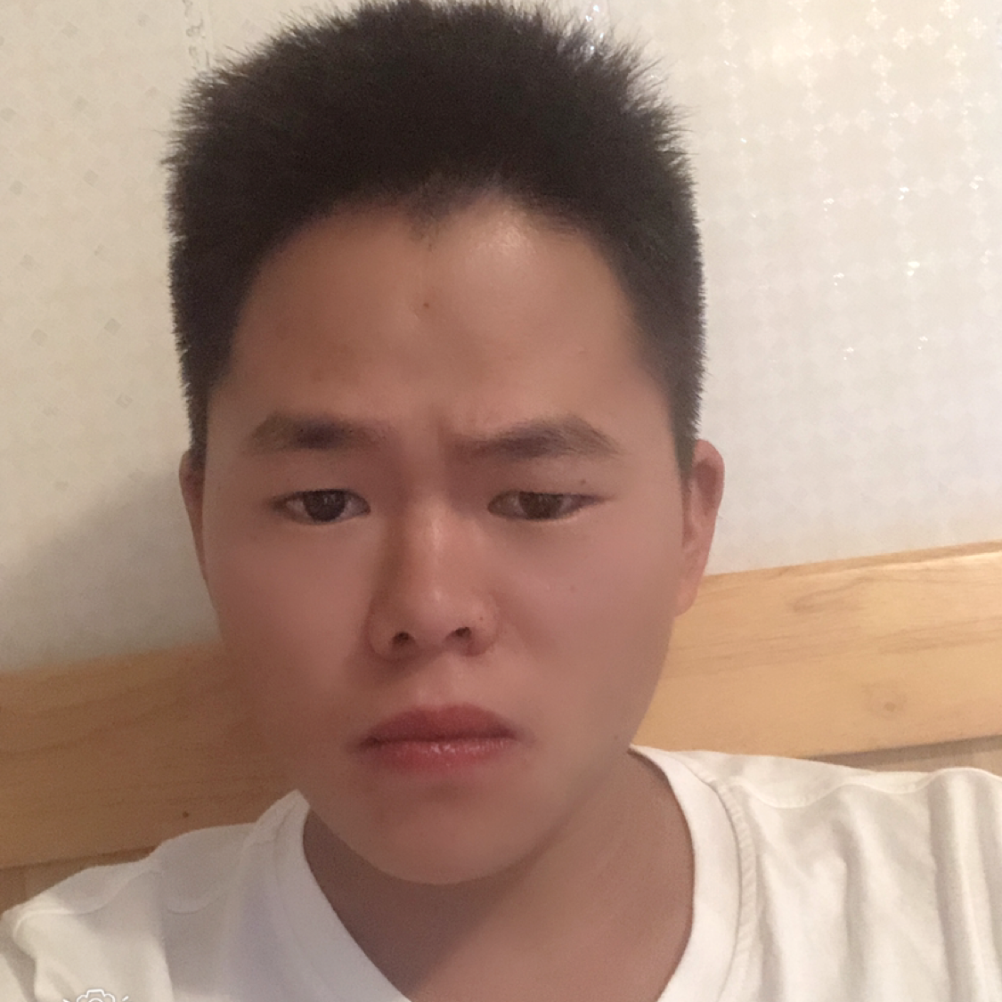 快乐深拥向日葵的照片