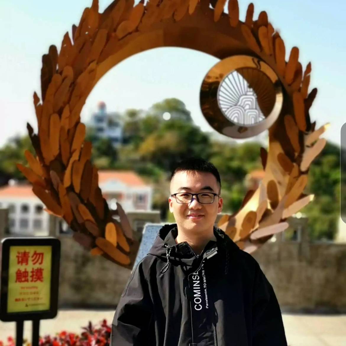 彩色de椰棕树的照片