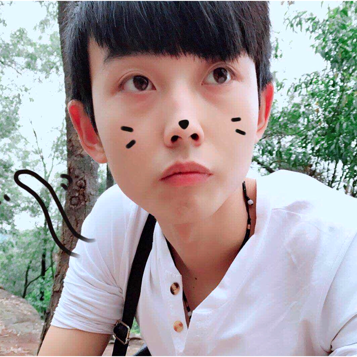 国宝的照片