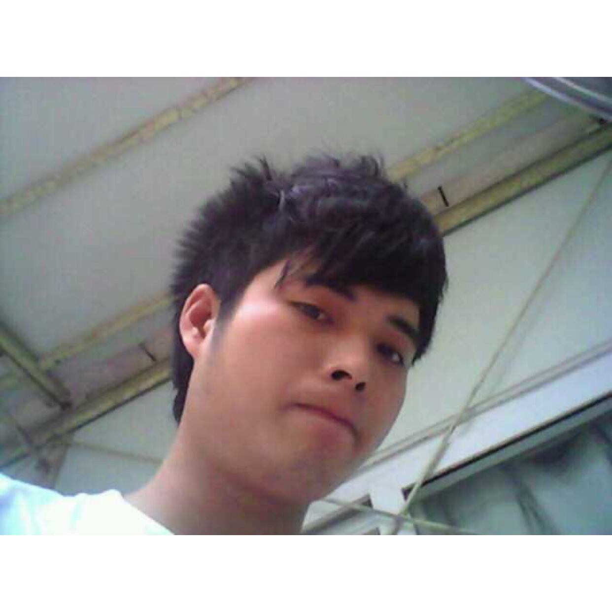 小虾米干净的照片