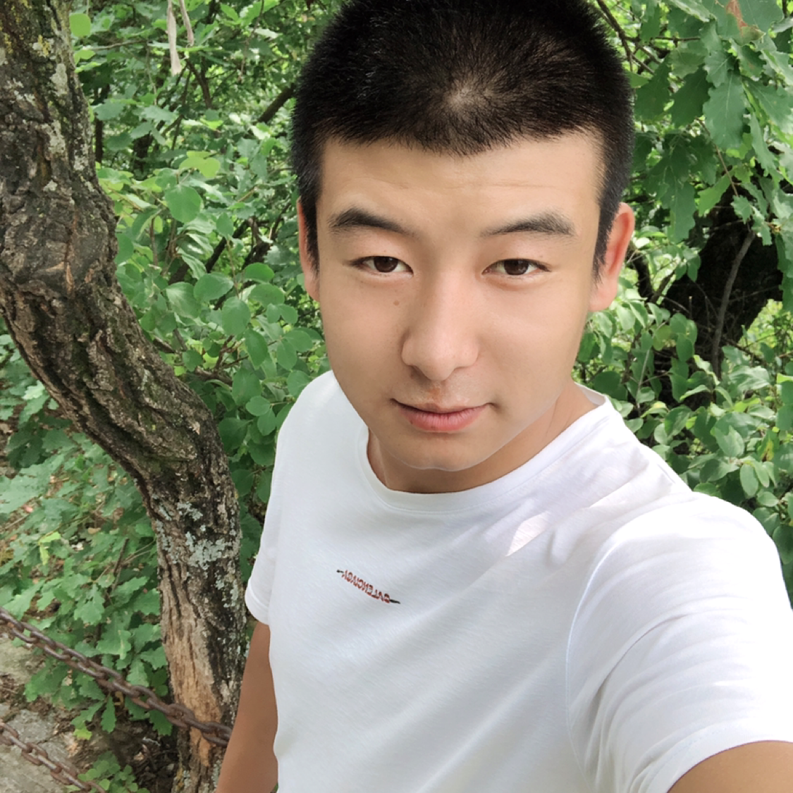柠檬倾心流年的的照片