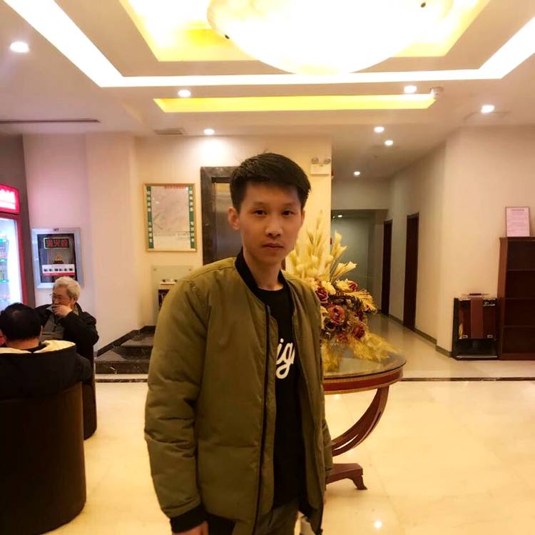 追寻迎向日葵的照片