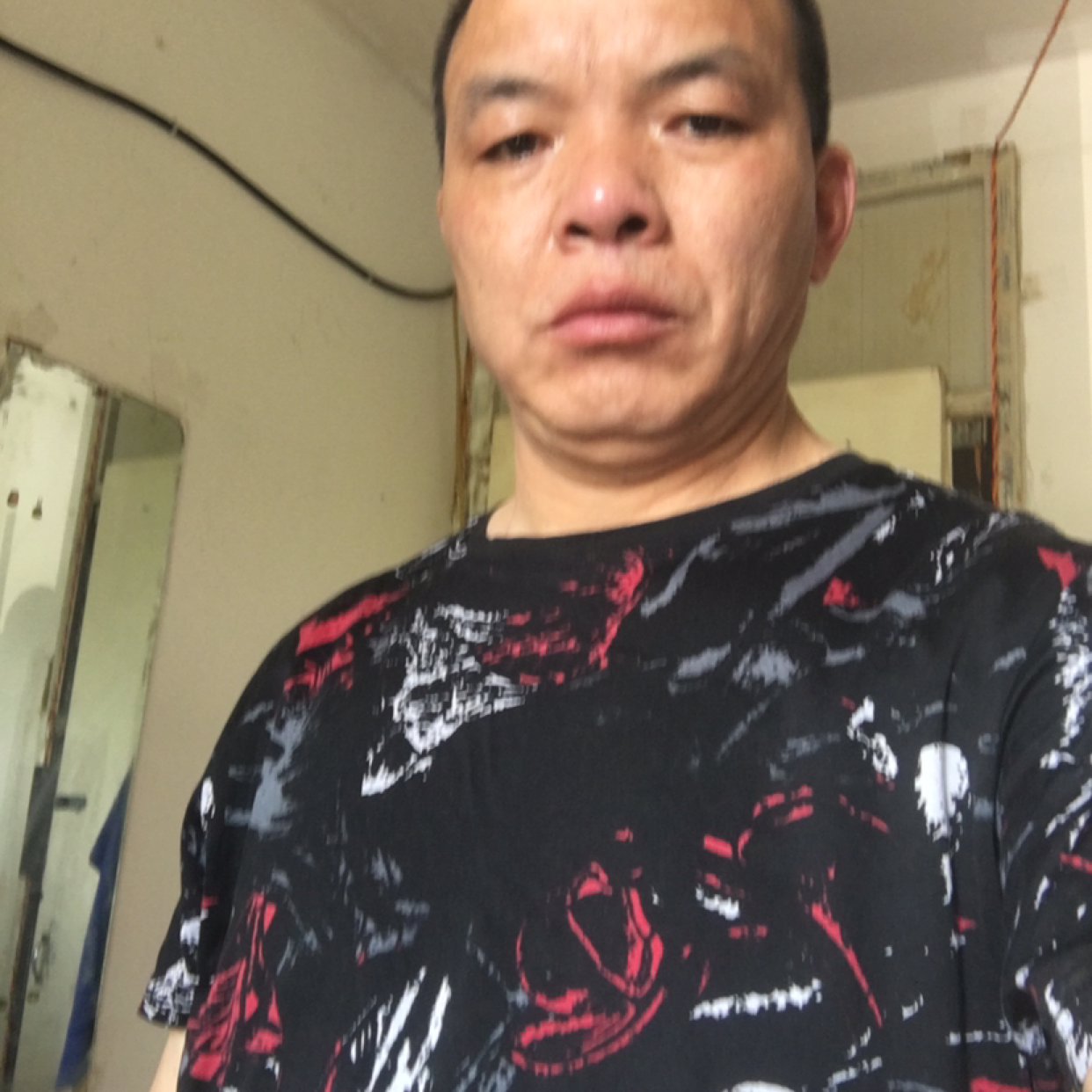 友好保卫小天鹅的照片