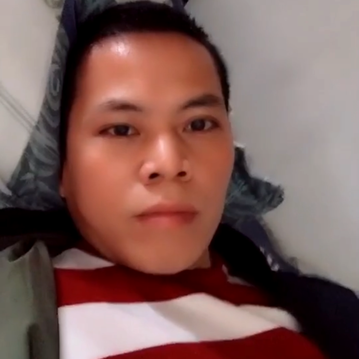 小蝴蝶回首完美的照片