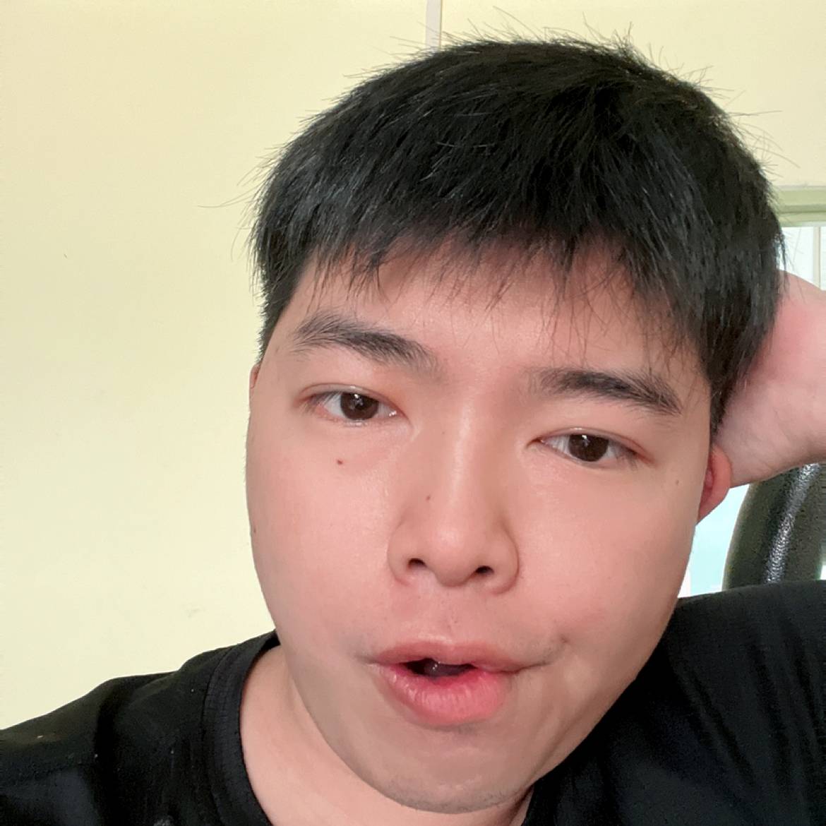 欣喜笑猫咪的照片