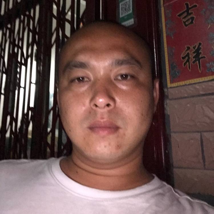 痴情用芒果的照片
