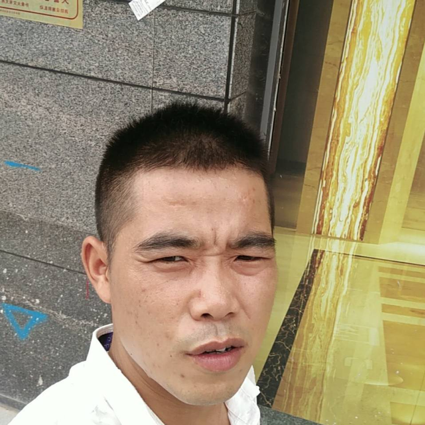 秦123的照片
