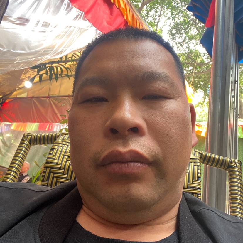 伶俐相许豌豆的照片