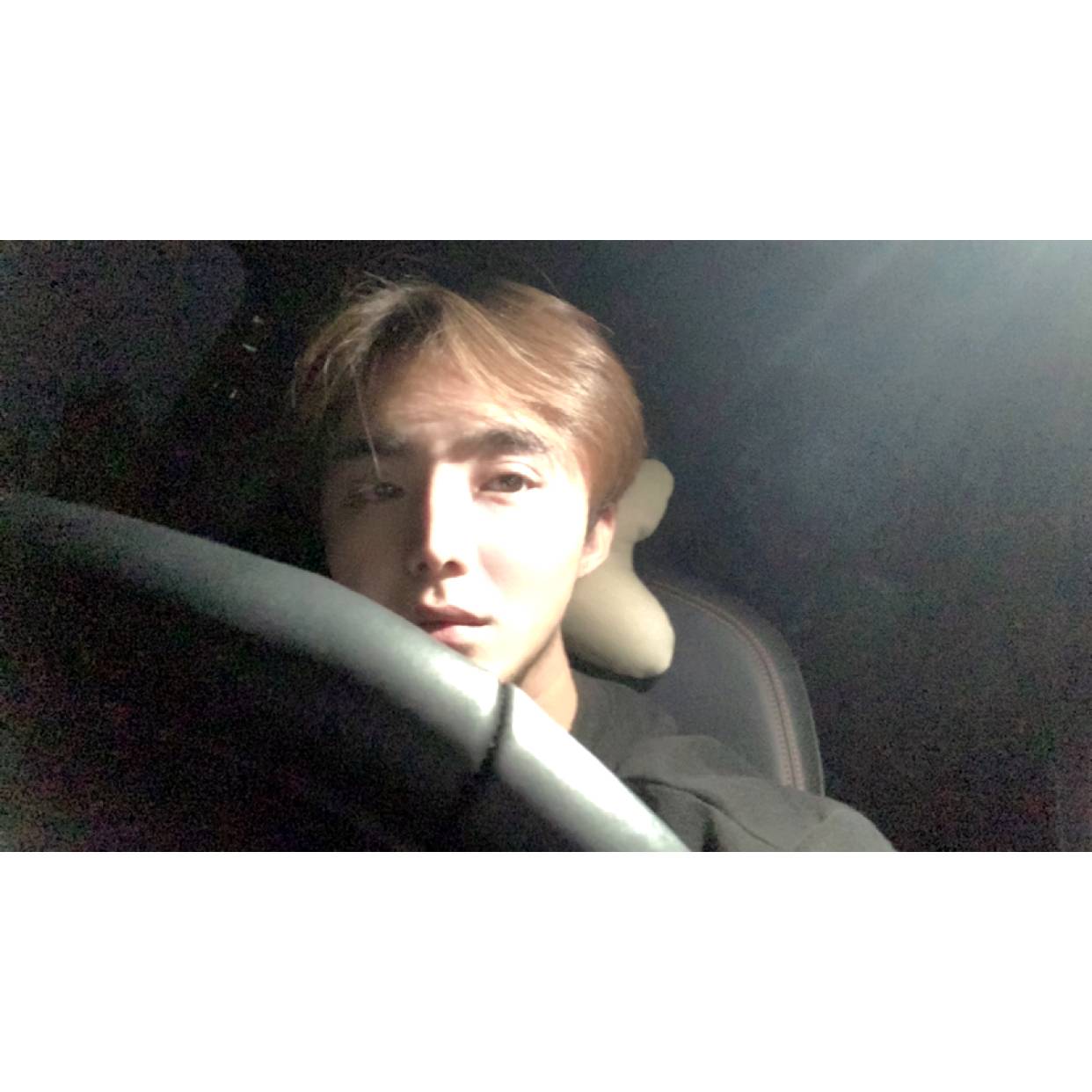 雪碧漫步自由的照片