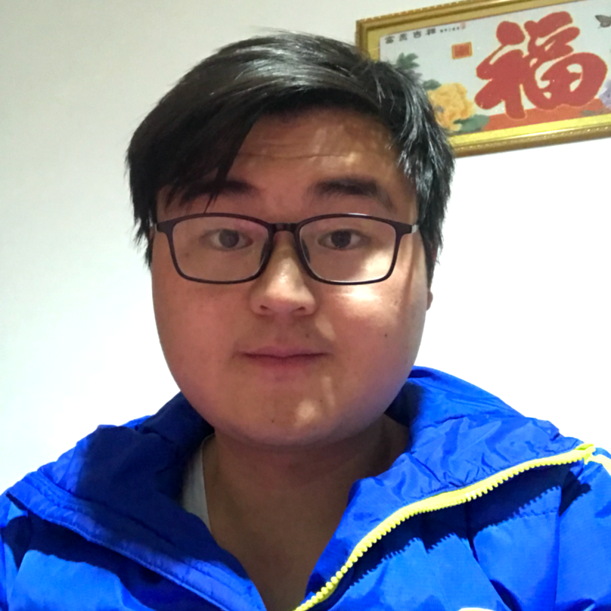 俊逸漫步河马的照片