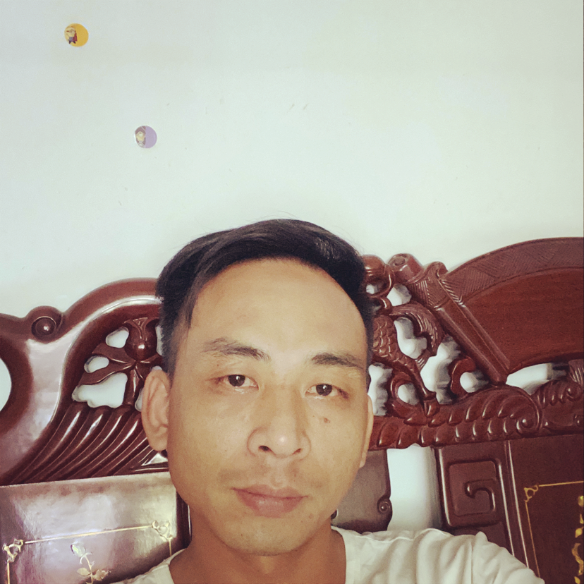 勤恳等于枕头的照片