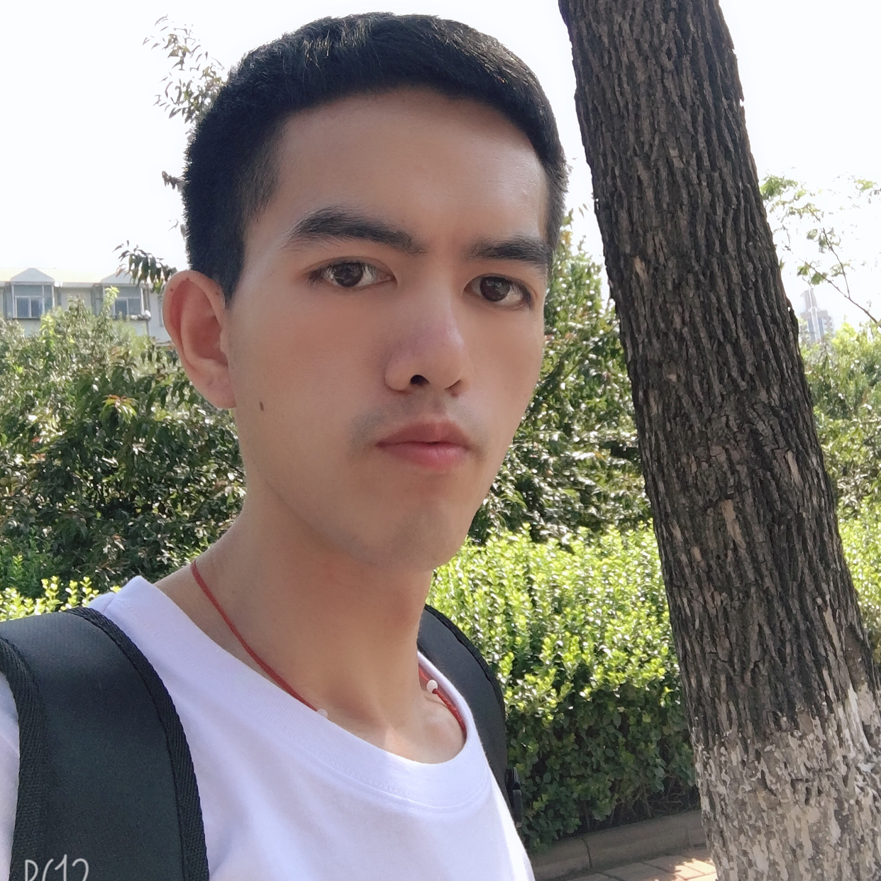 墨镜爱单纯的照片