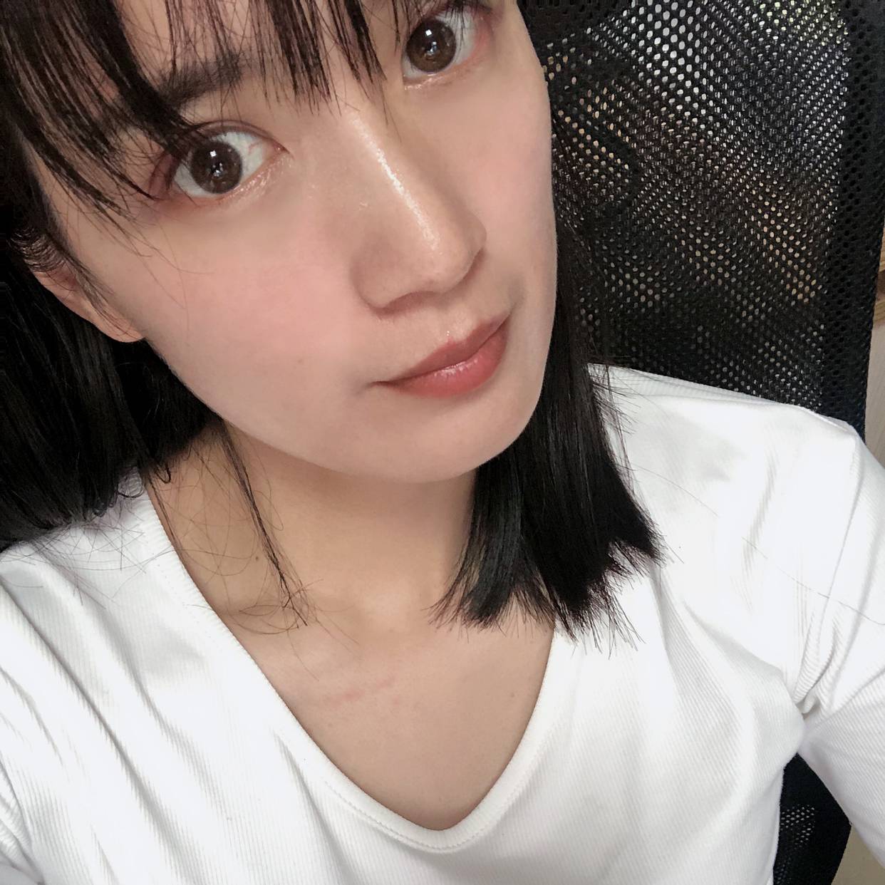 白茶。 清欢的照片