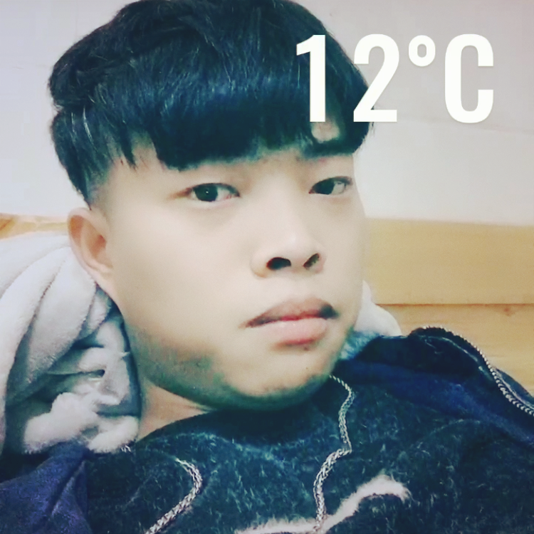自行车给妩媚的照片