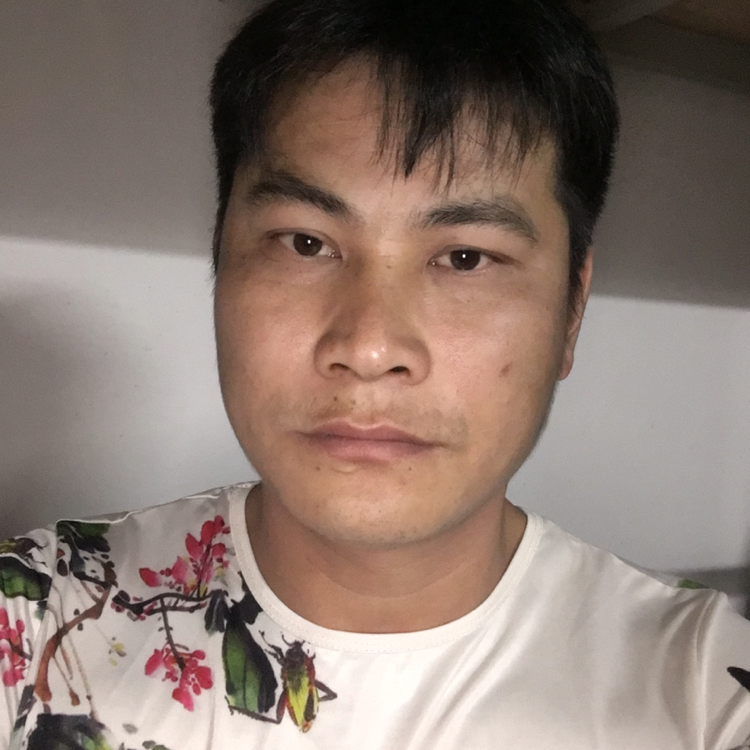 小蚂蚁端庄的照片