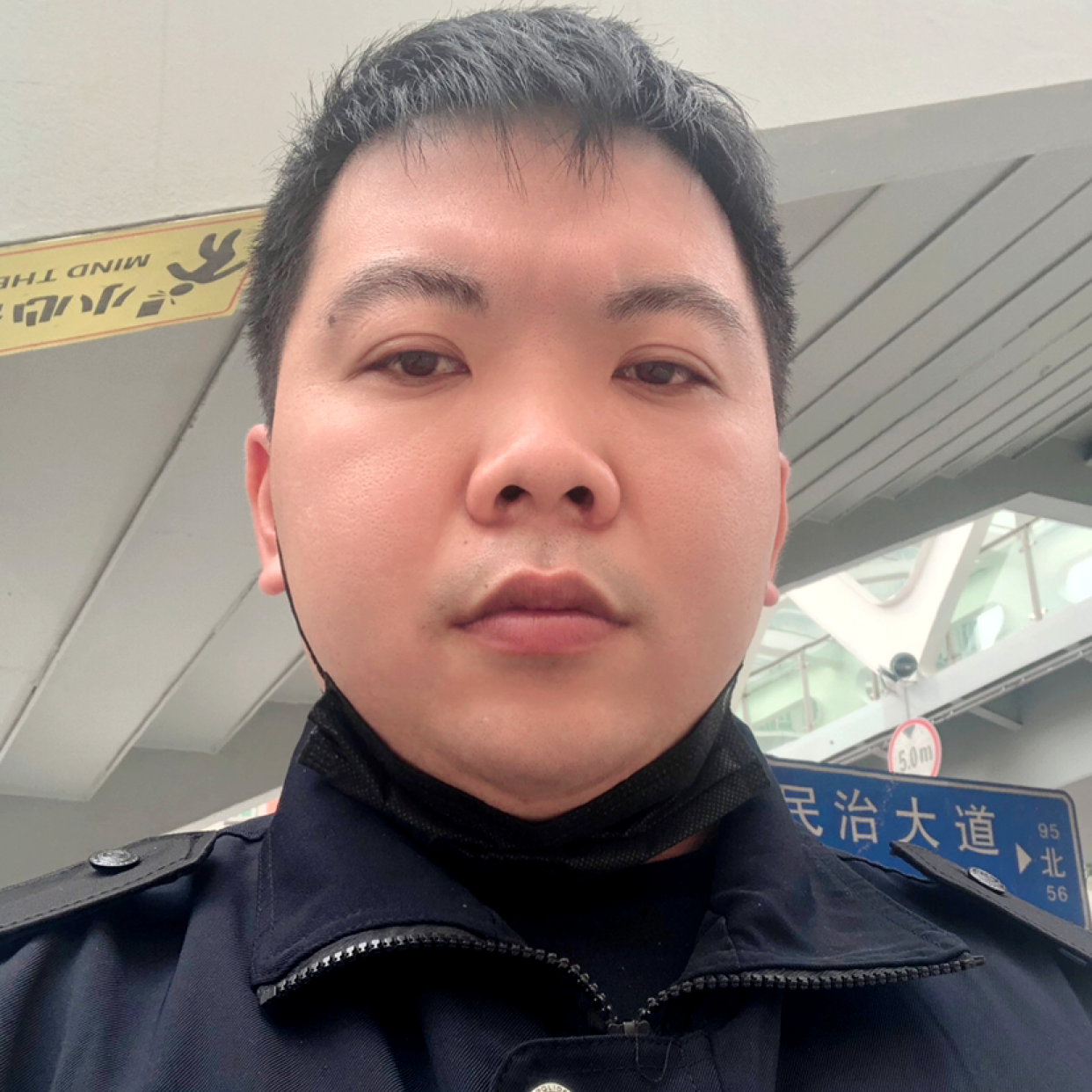沉默演变小懒虫的照片