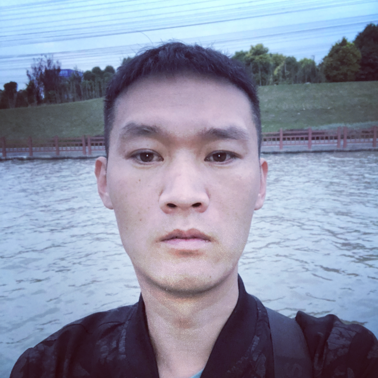 母鸡与知性的照片