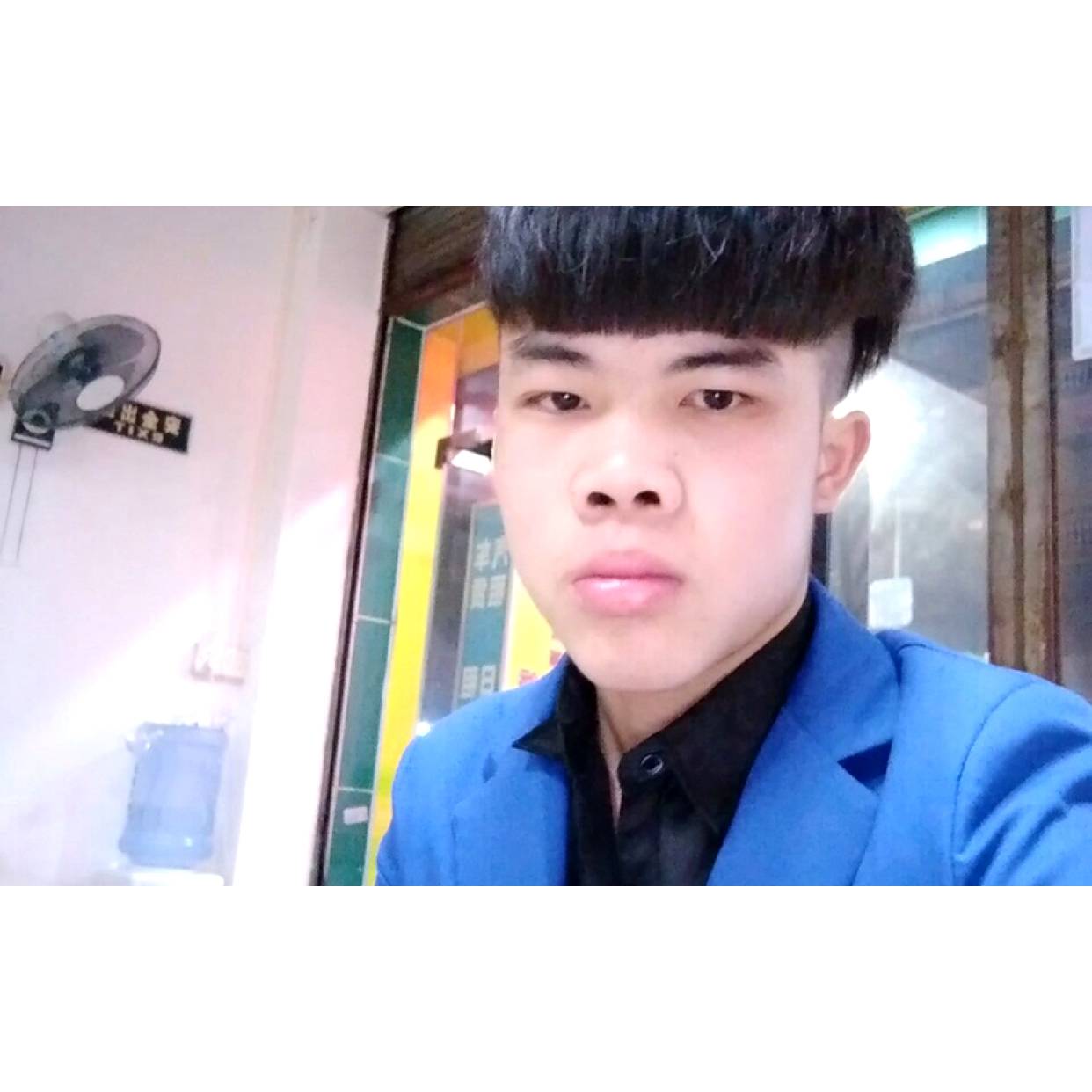舒心说狗的照片