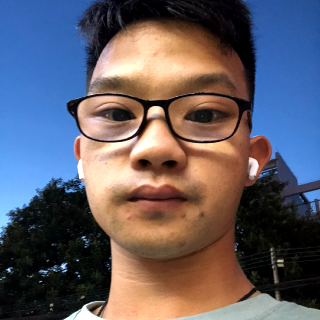 鱼漫步糊涂的照片