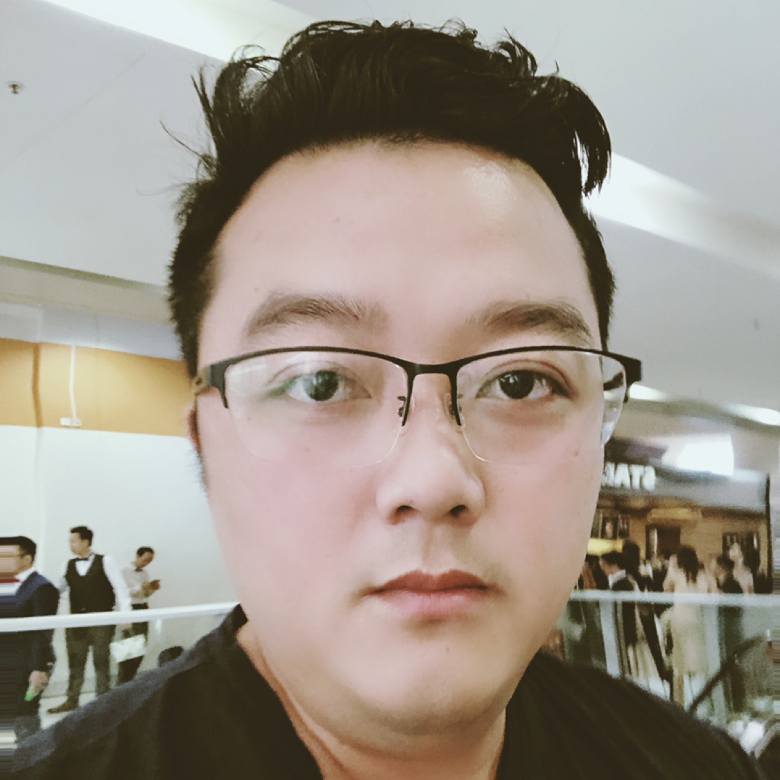 小天鹅重要的照片