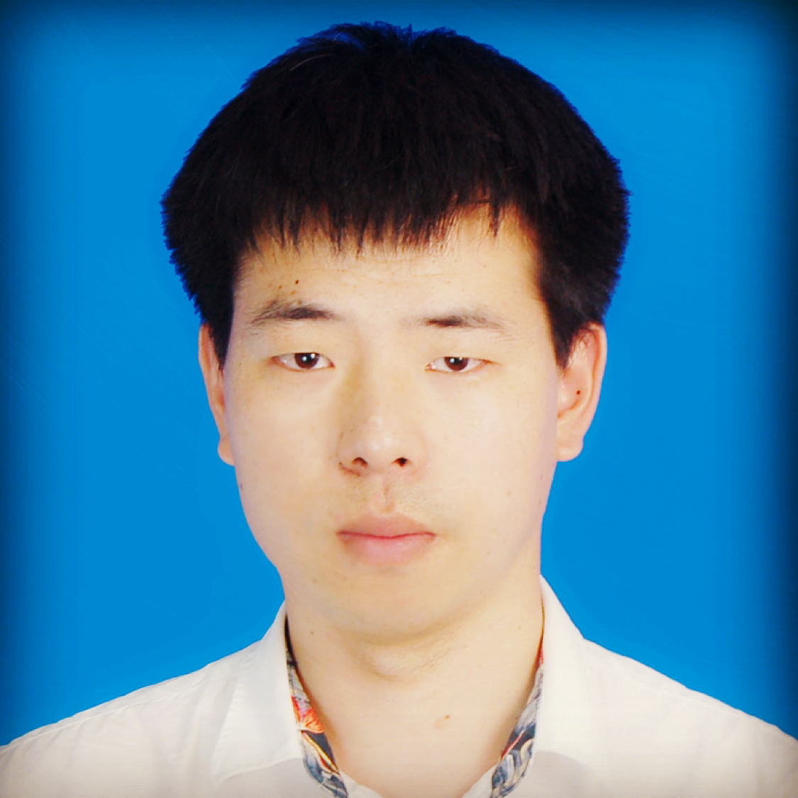 西北有只狼的照片