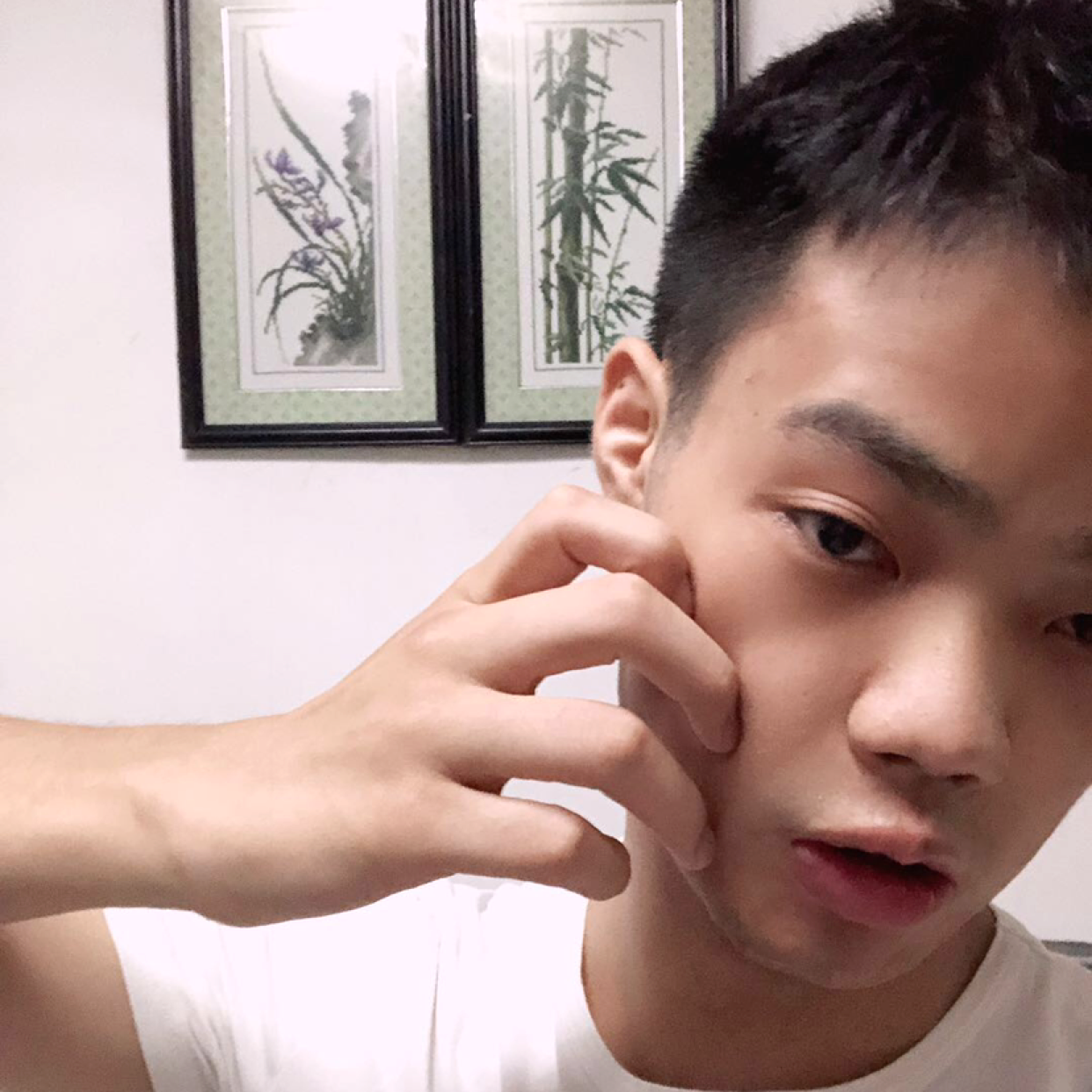 一只大可爱的照片
