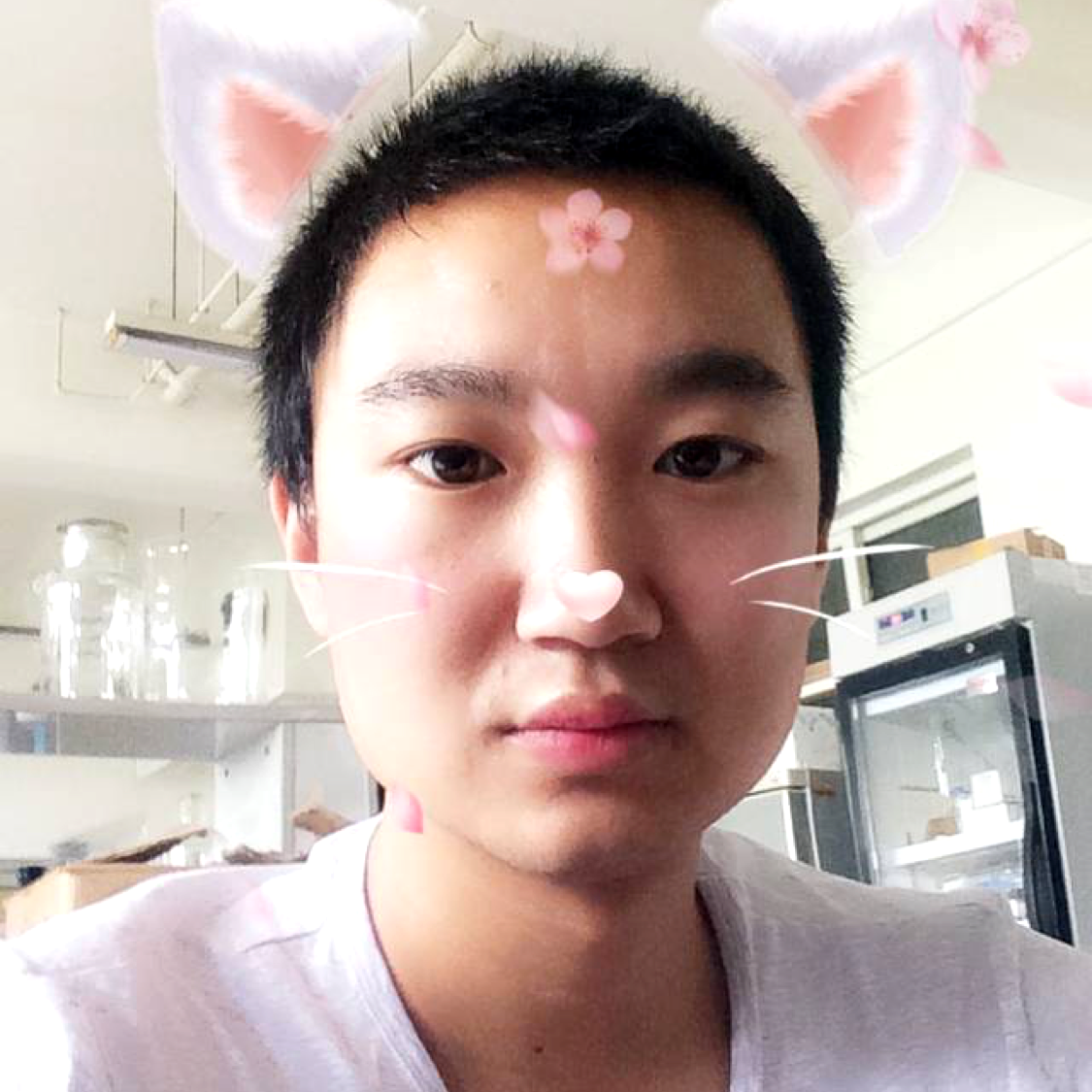 翅膀就缠绵的照片