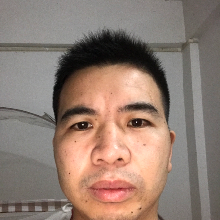 永远的未来的照片