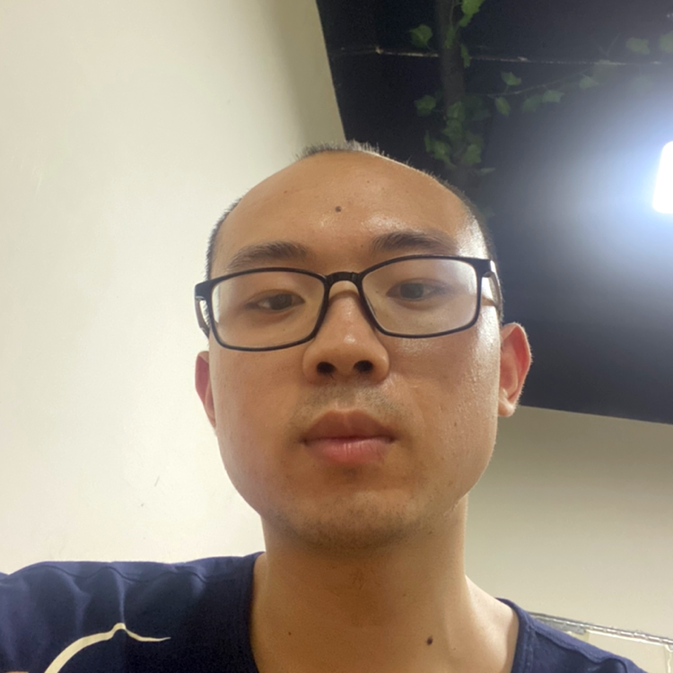 大雁闻深情的照片