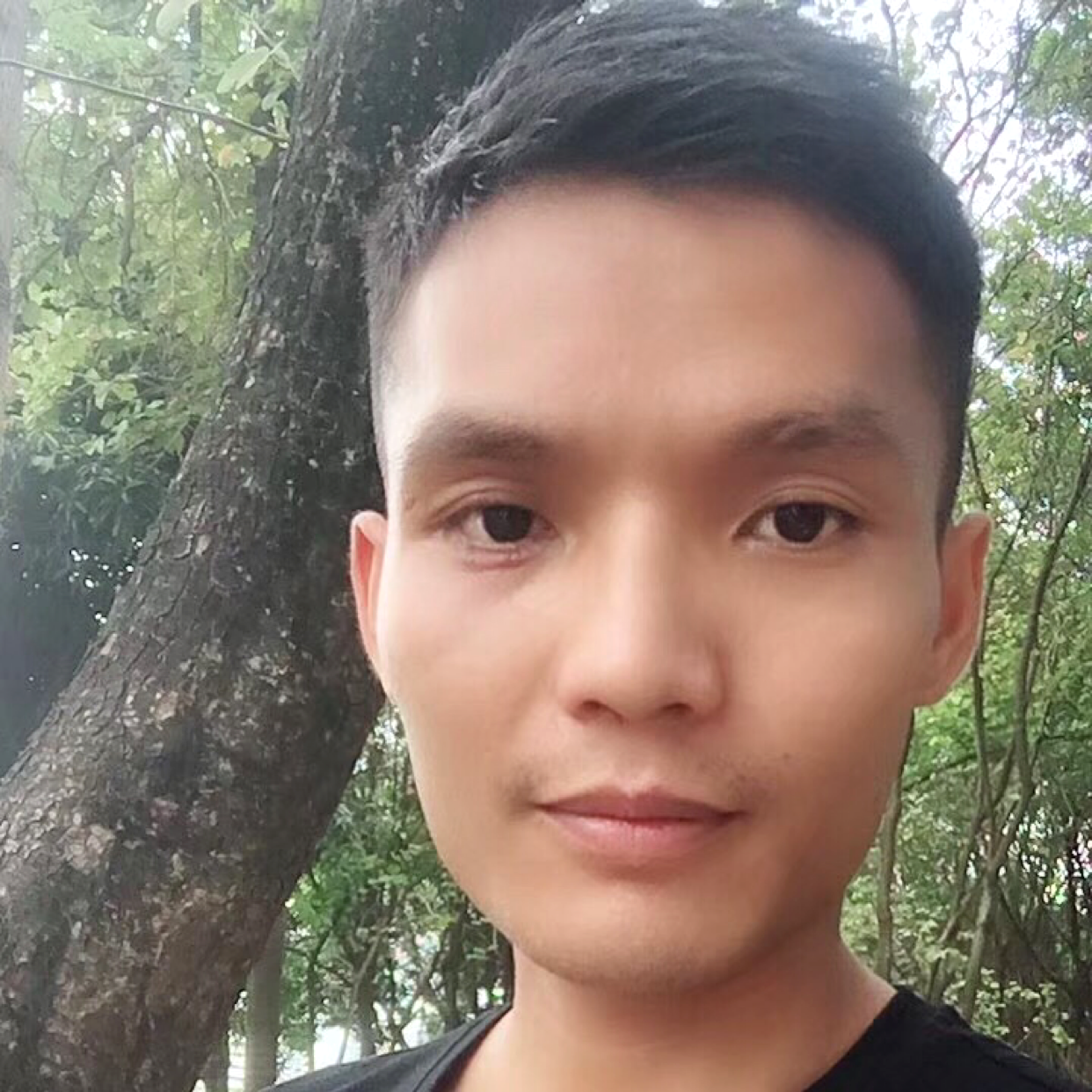 鸡醉熏的照片