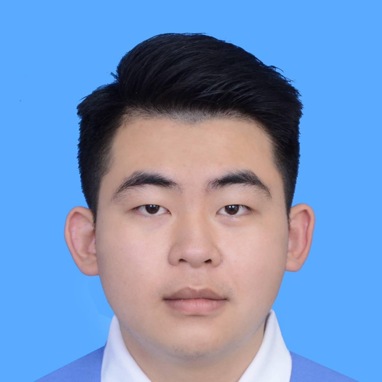 Gnps的照片